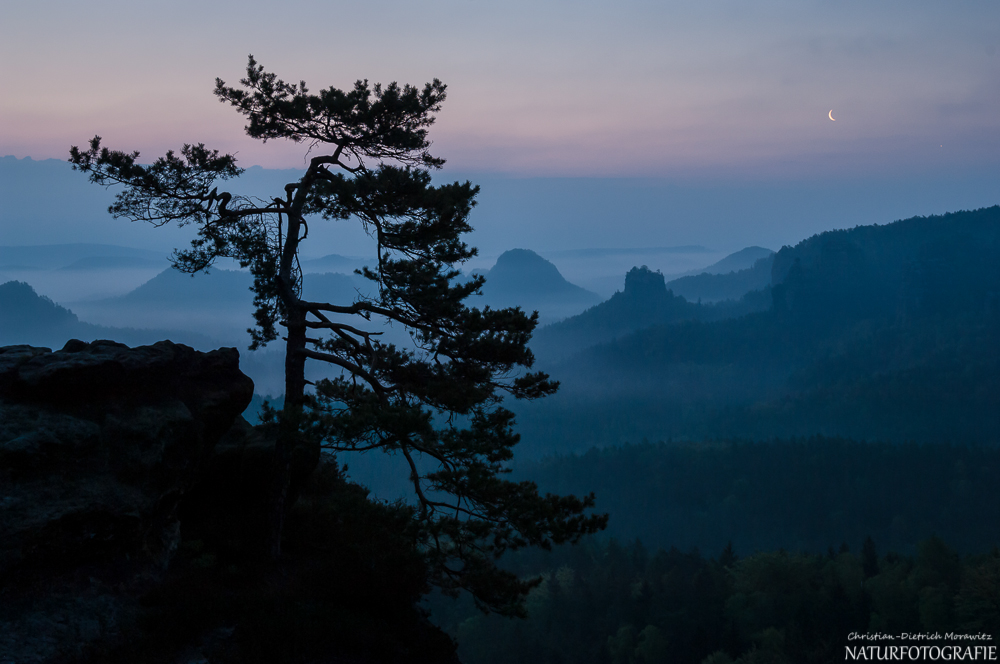 Morgenstimmung nach Caspar David Friedrich