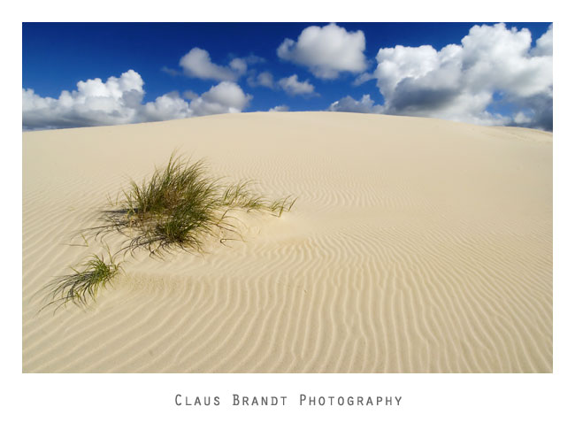 De Hoop Dreams - ND