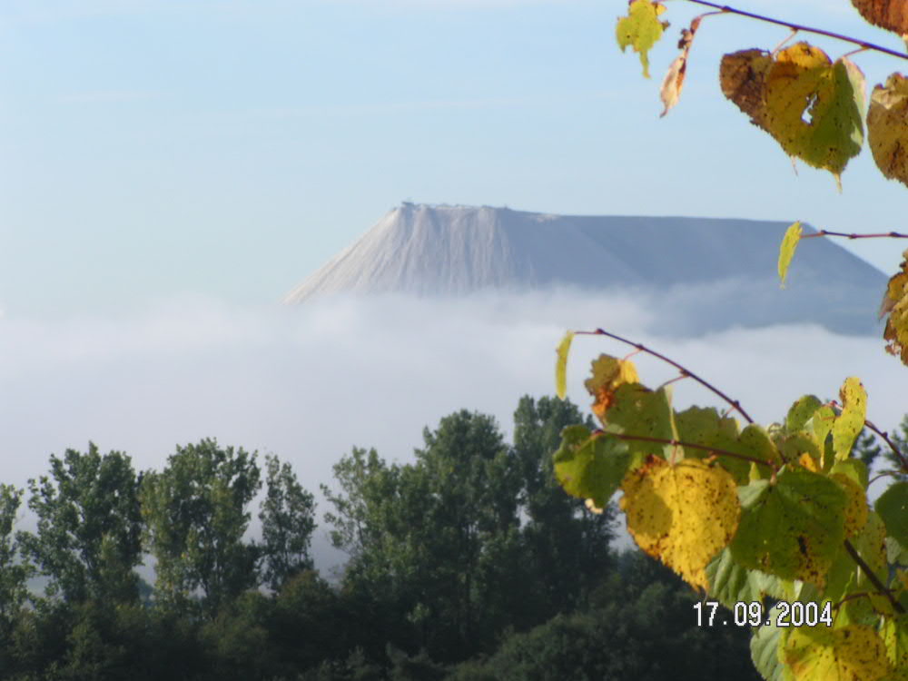 Halde bei Obersuhl