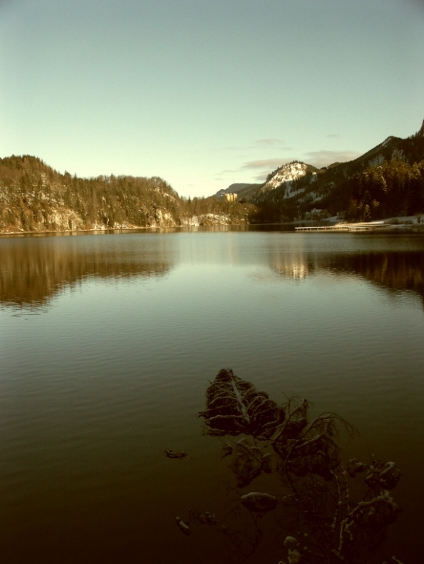 Der Alpsee in Hohenschwangau (Allgäu) ND