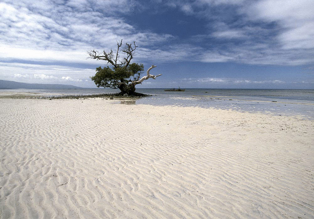 Siquijor island