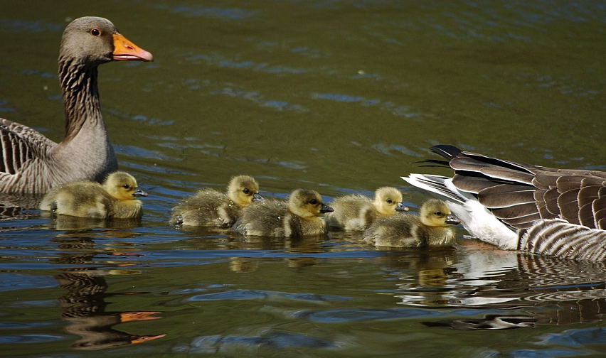 Familienleben...ND