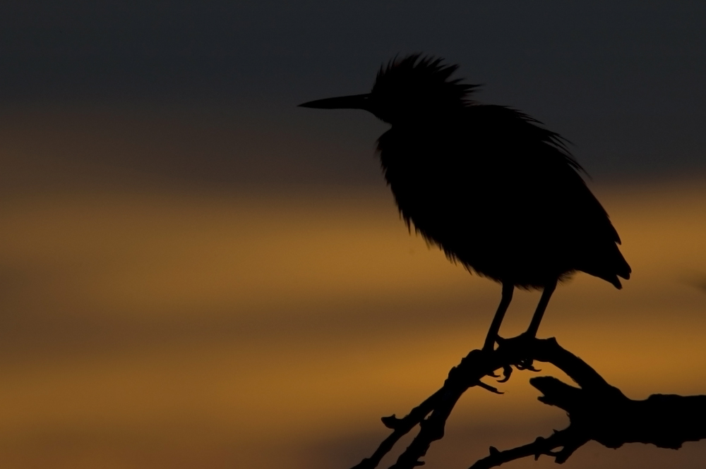 Mal wieder: Abend an der Lagune