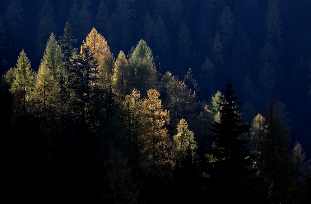 Herbst in den Nockbergen 2