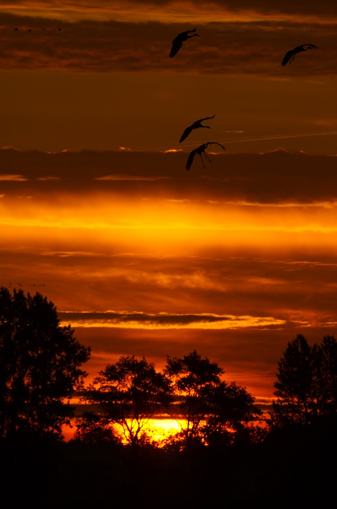 Sonnenaufgang...