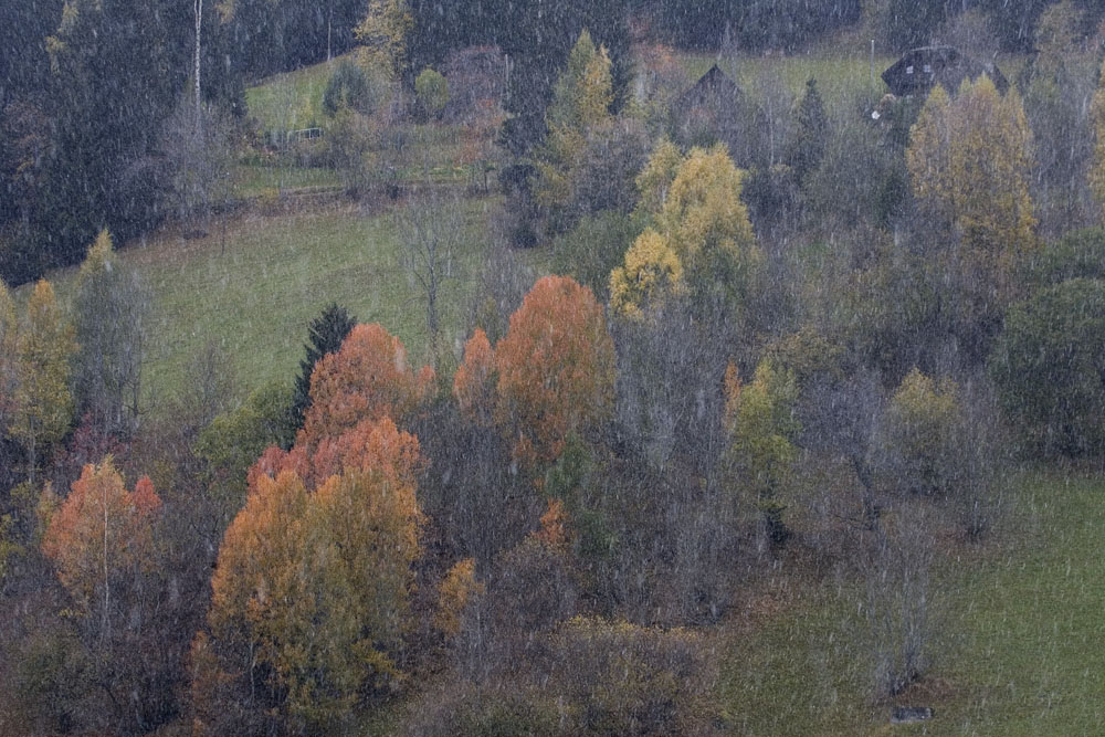 Herbst in den Nockbergen 7