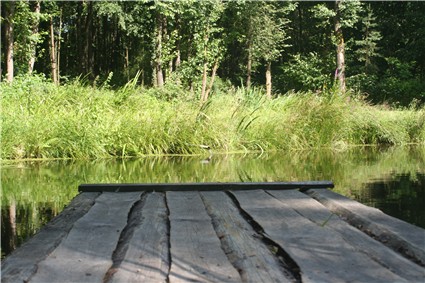 Steg am Weiher