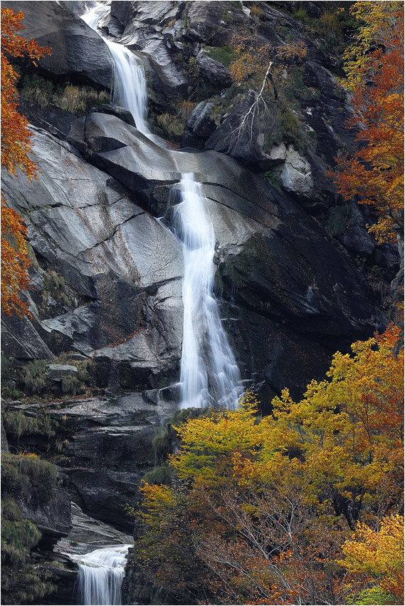 Herbst im Verzasca -Tal