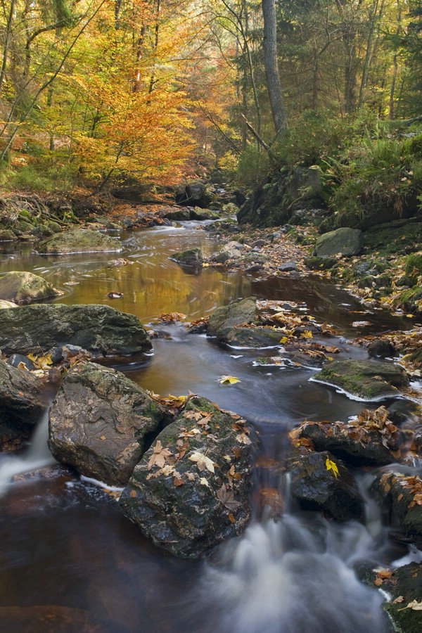 Herbstimpressionen