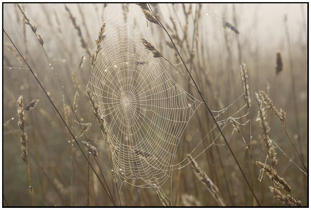 Herbstzeichen