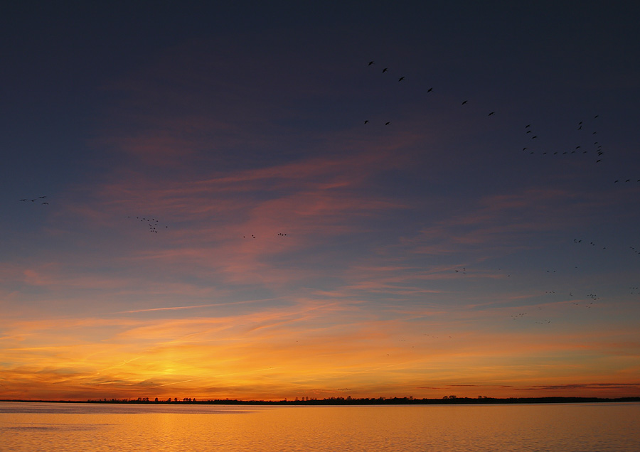 Nach Sonnenuntergang am Bodden...