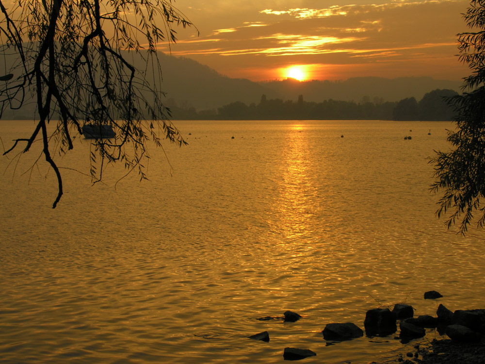 Ganz in Gold ....