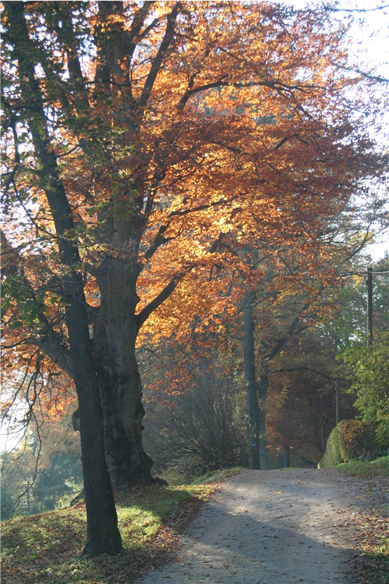 Herbstweg