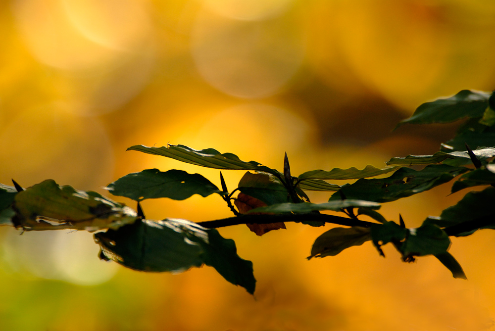 Licht und Schatten