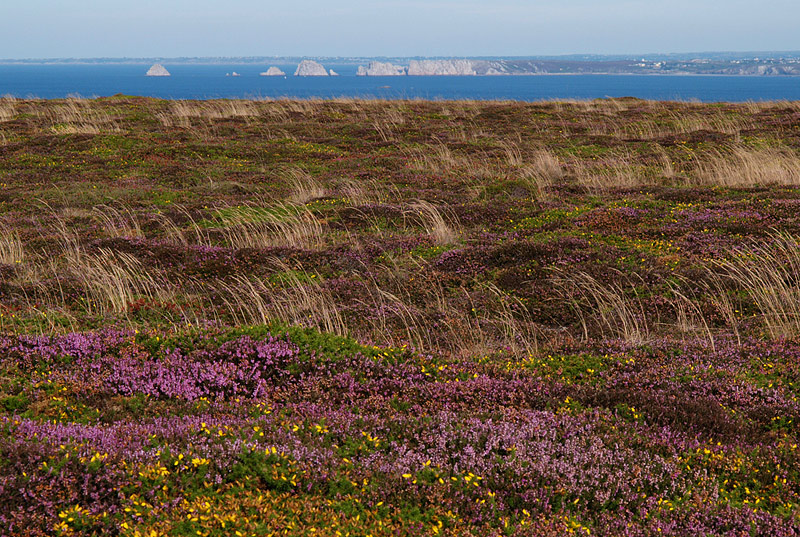 Crozon II