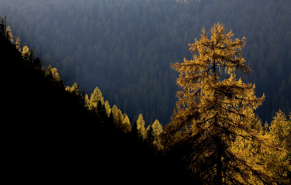 Herbst in den Nockbergen 11
