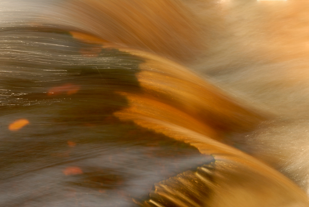 Golden Falls II