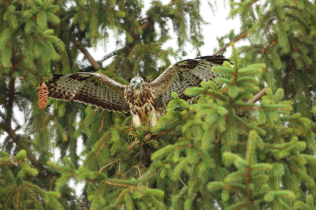 Flugübungen