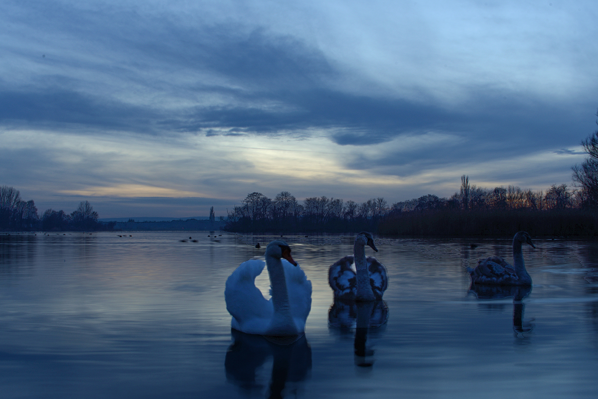 blaue Stunde am See