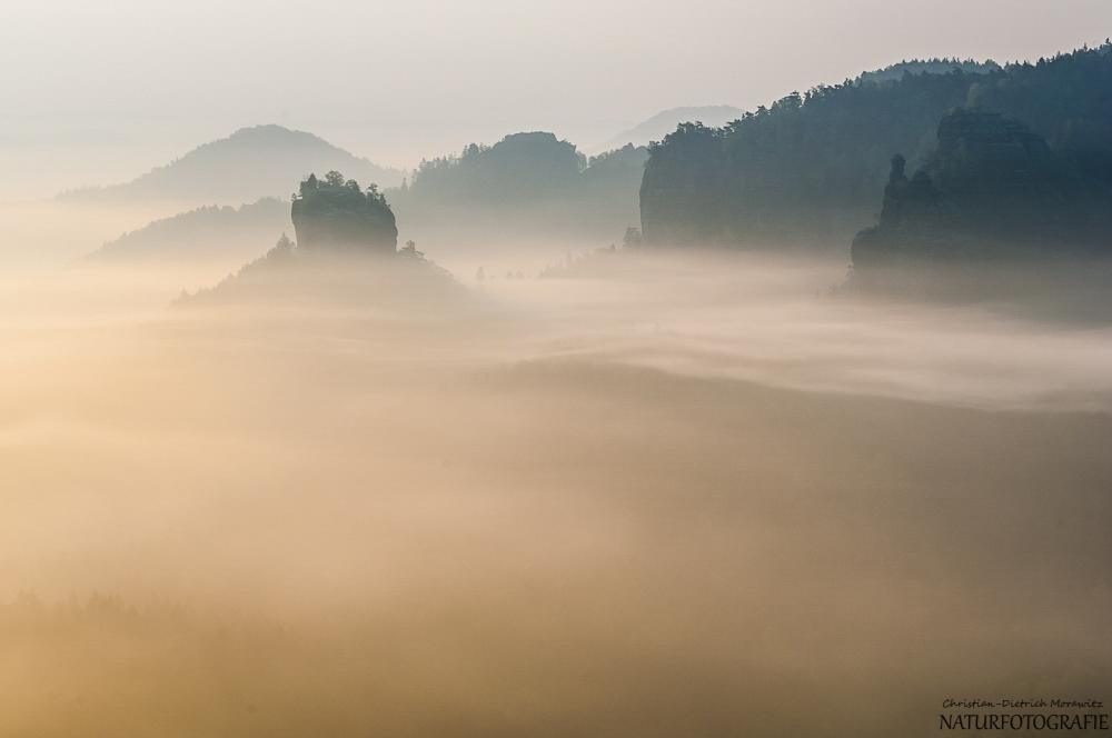Morgennebel