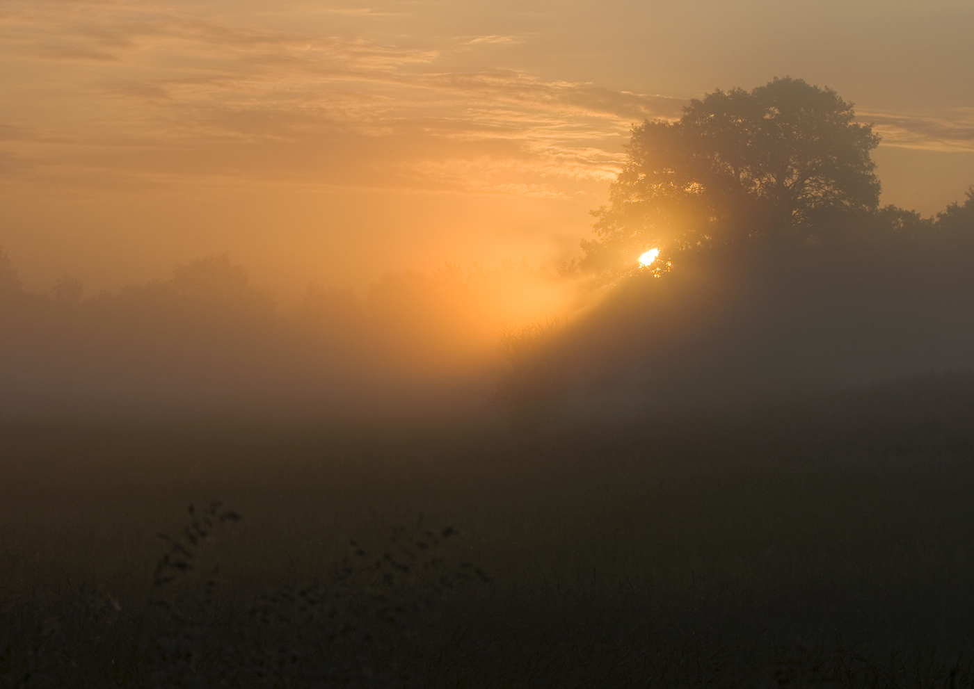 Morgenstund hat Gold im Mund