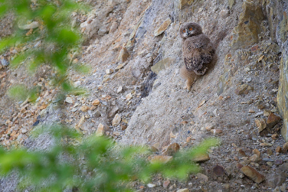 Auf Wanderschaft