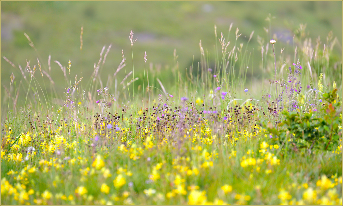 *Buntes Allerlei*