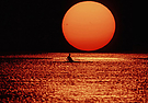Ruderer im Sonnenuntergang