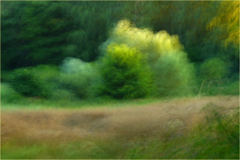 Weiher, in Abendlicht gewischt