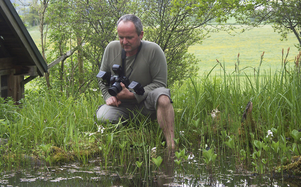 Im Gartenteich