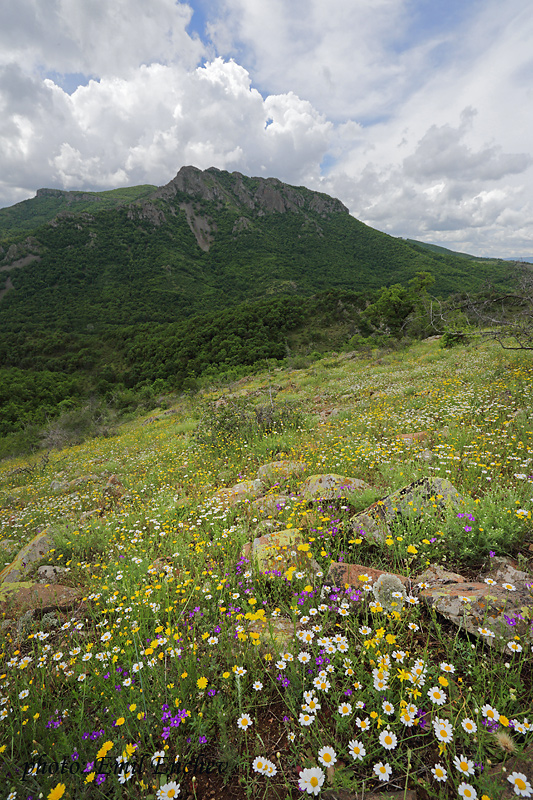 East Rodopi, Bulgaria