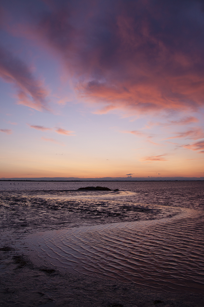 Abendstimmung in der Camargue