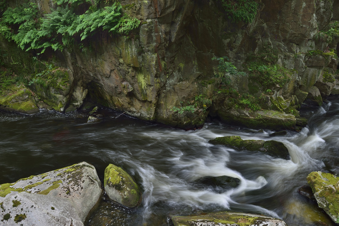 Die Bode im Harz 2014