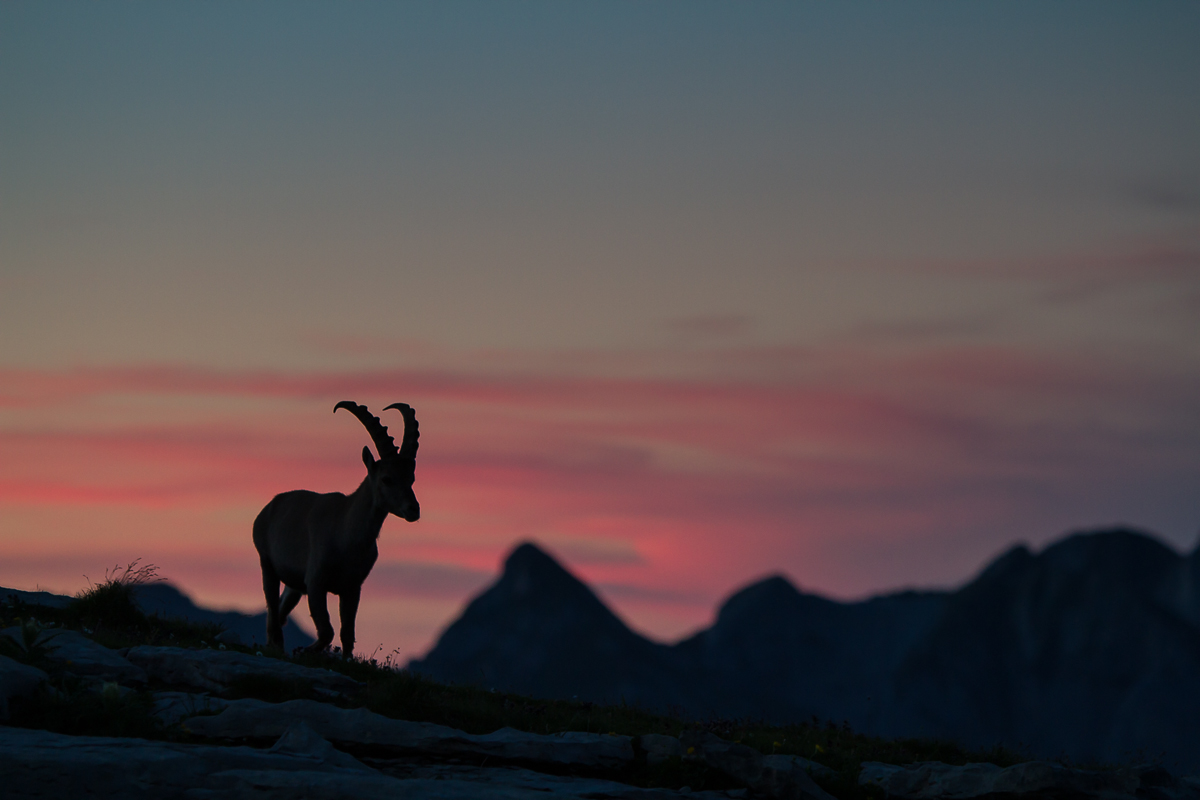 Spät Abends