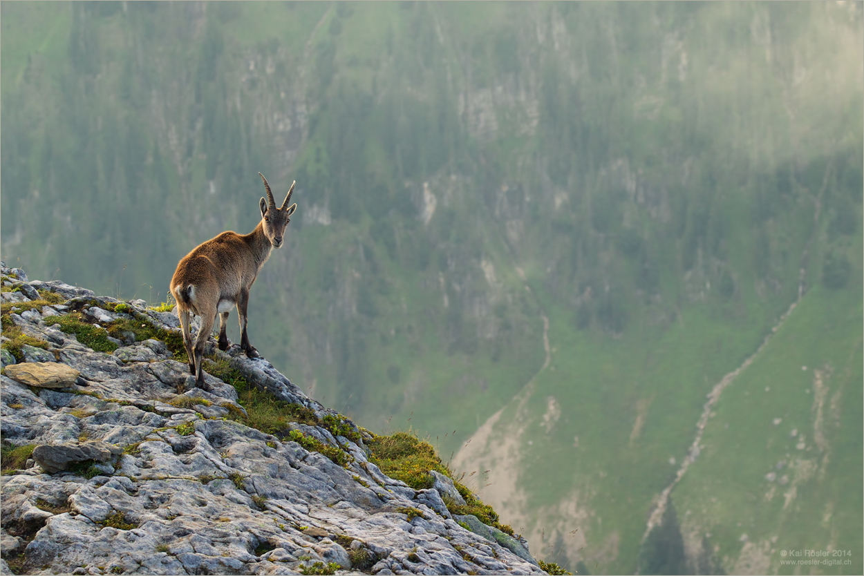 Aussichtspunkt