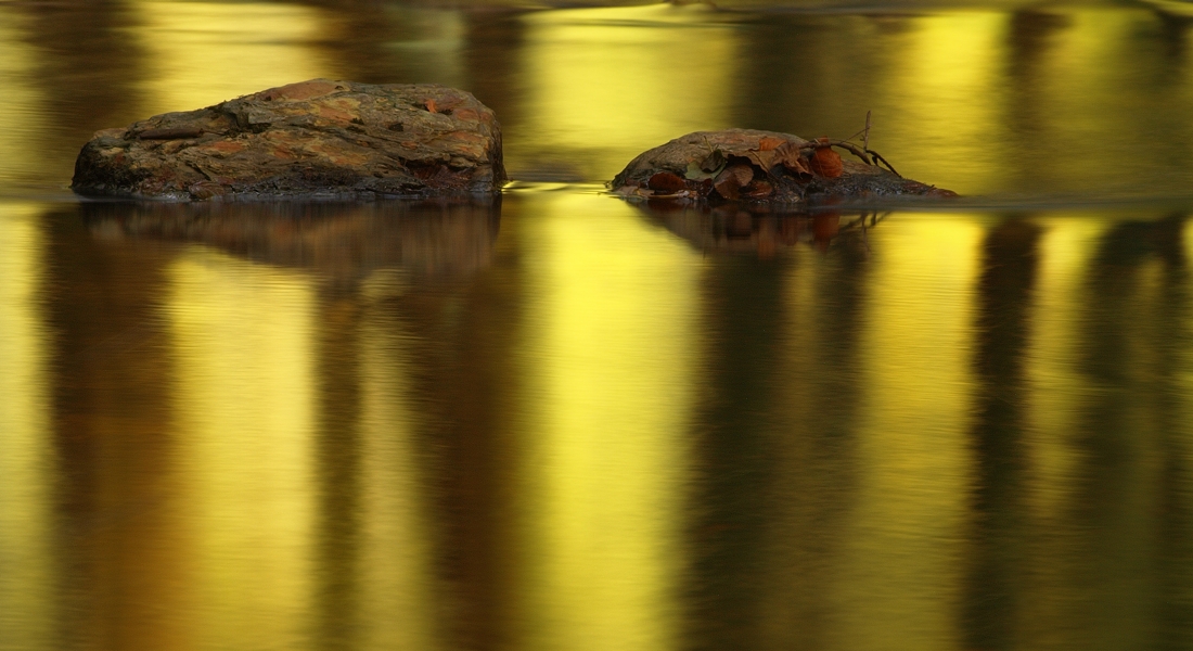 Morgenlicht