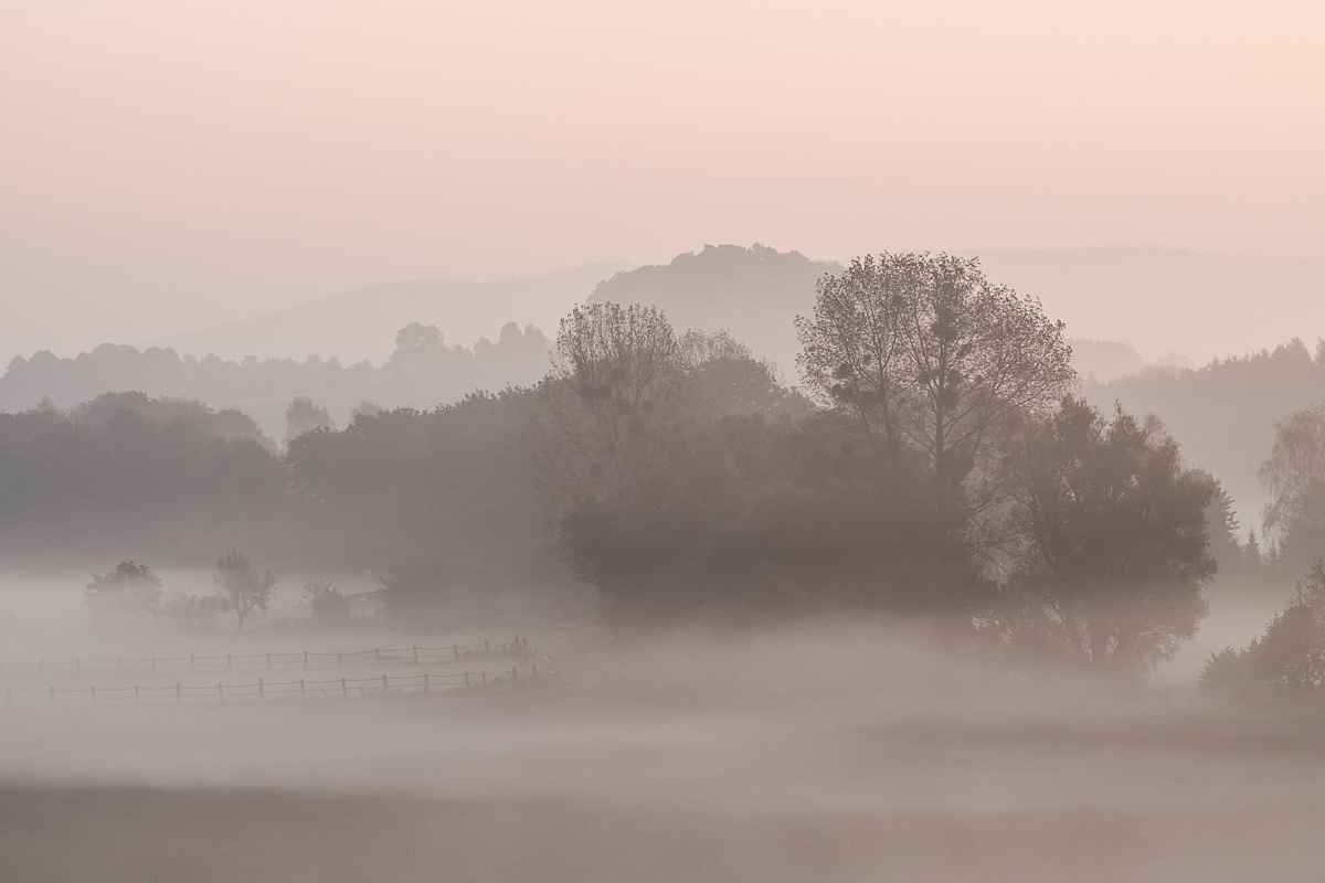 Vorharzlandschaft im Morgennebel