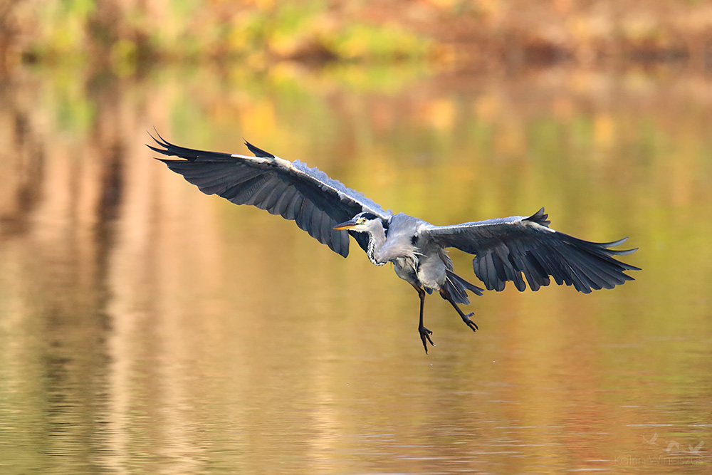 Landeanflug