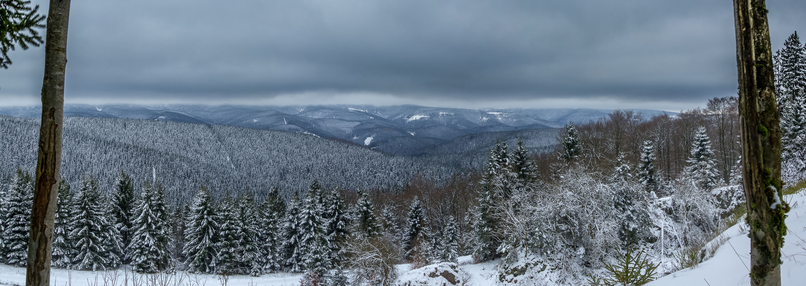 Wintervorfreude