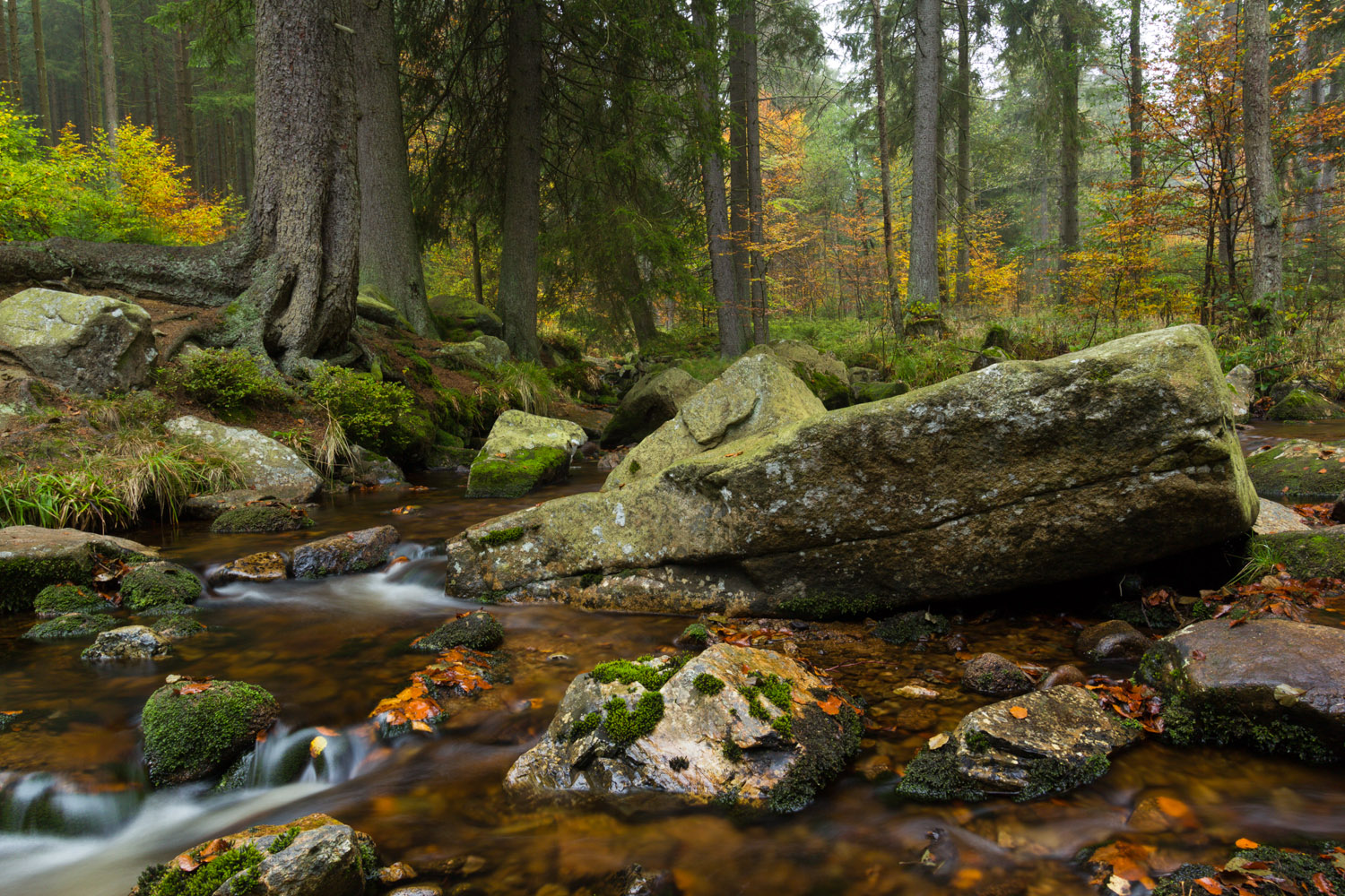 Herbst an den Bodefällen