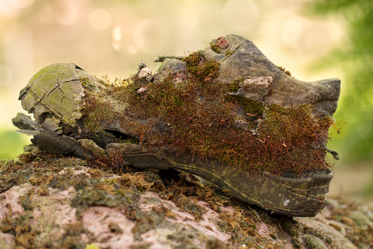 Rückführung in die Natur