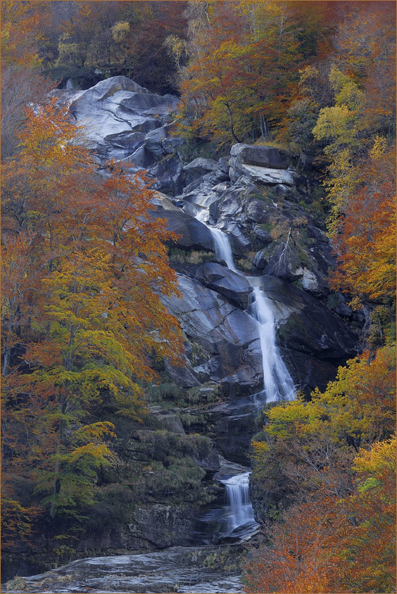 Herbst im Verzasca-Tal