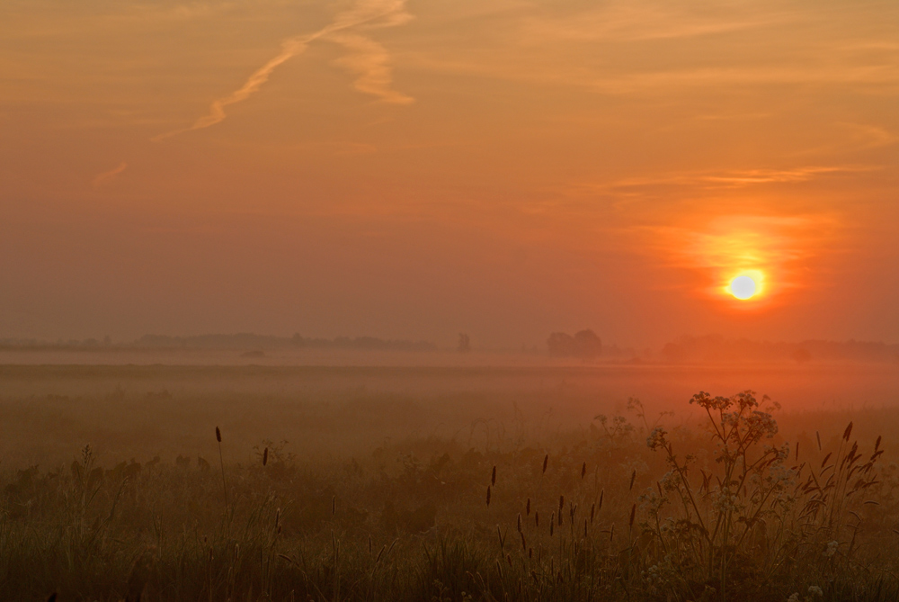 Sonnenaufgang I,