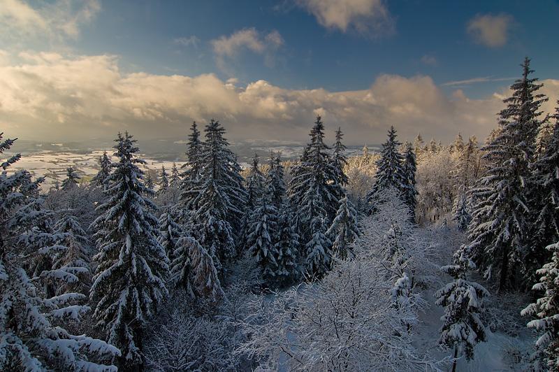 Früher Winter 2007