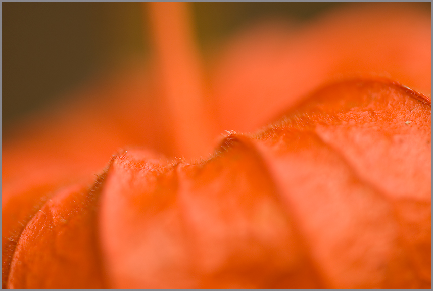Farbe