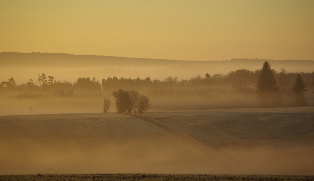 Struth im Morgennebel