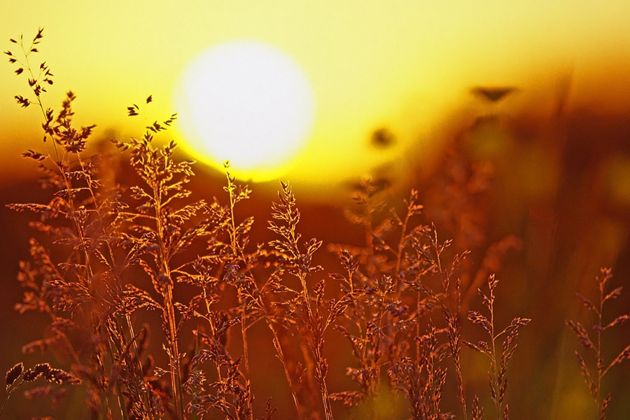 Here comes the sun...