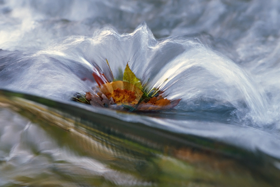 Wasserfächer