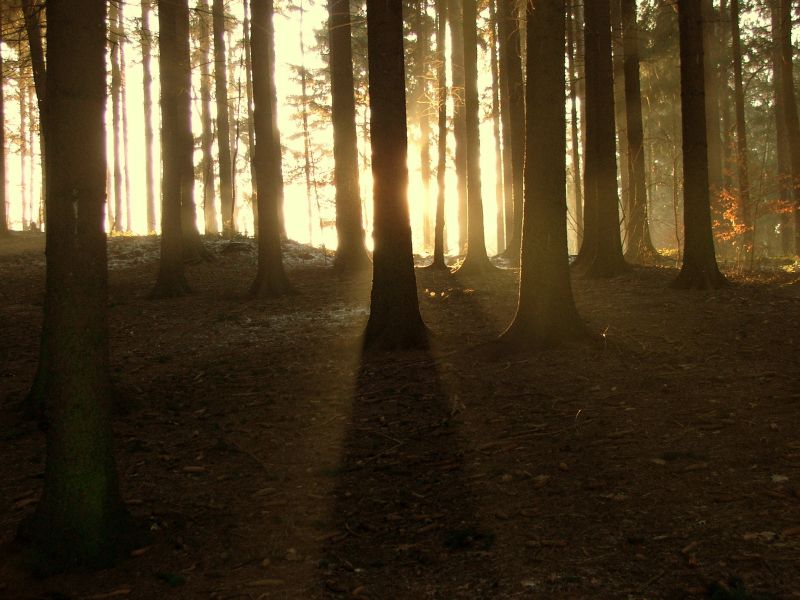 Versteckspiel der Sonne
