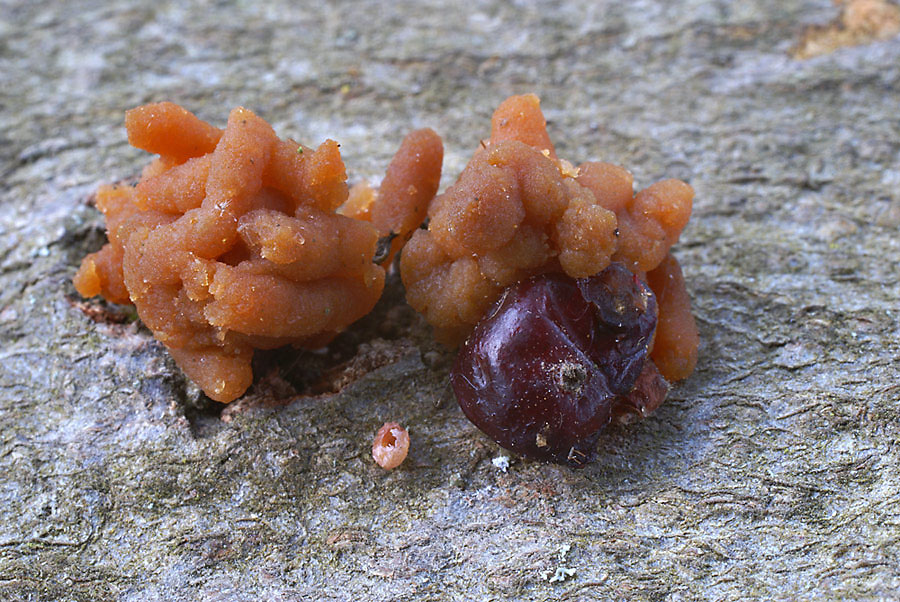 Wer da wohl hingesch... hat???